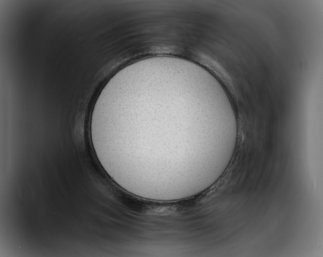 X0000088910155200707061351