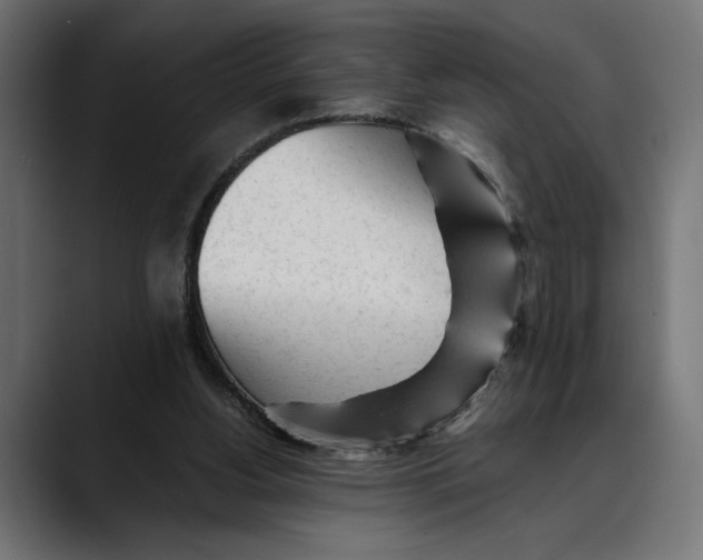 X0000088910156200707061351