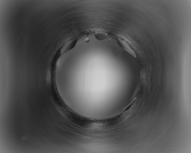 X0000088910158200707061351