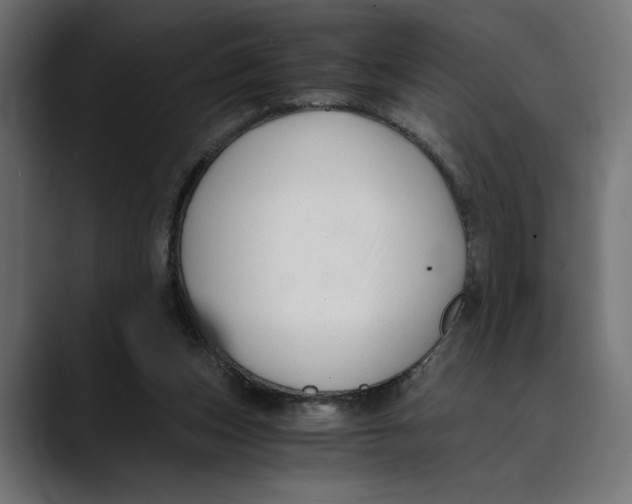 X0000088910159200707061351