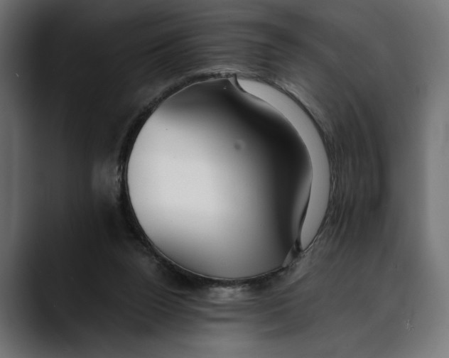 X0000088910160200707061352