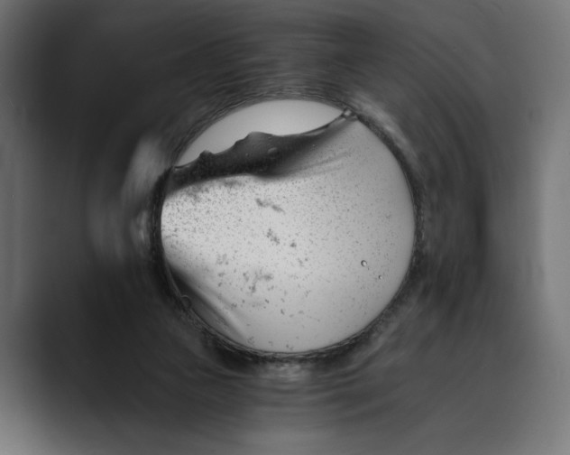 X0000088910161200707061352