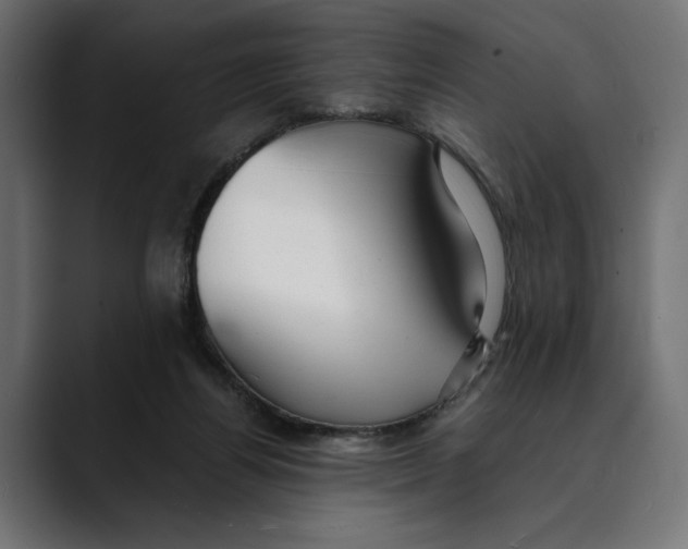 X0000088910164200707061352