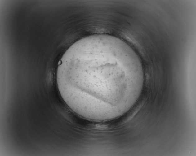 X0000088910165200707061352