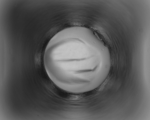 X0000088910167200707061352