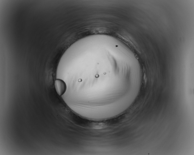 X0000088910169200707061352