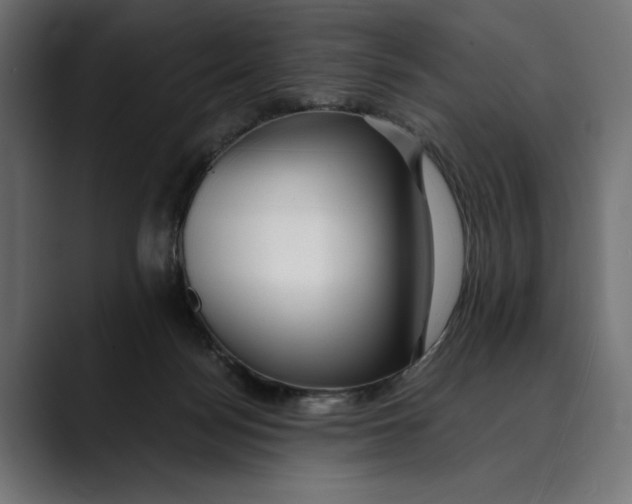 X0000088910172200707061352