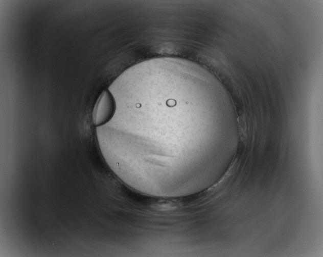 X0000088910175200707061352