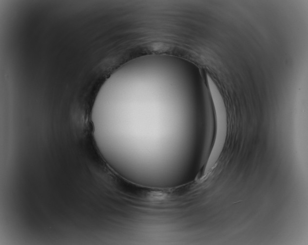 X0000088910176200707061352