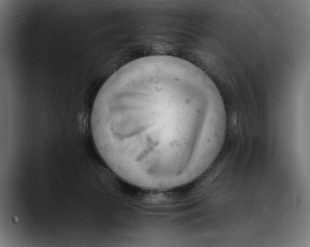 X0000088910177200707061352