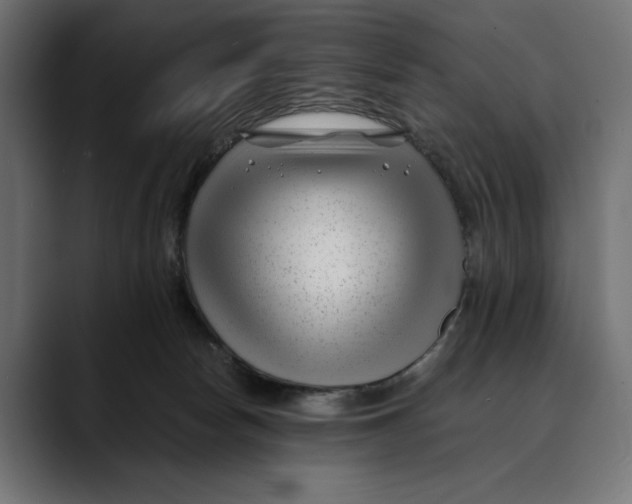 X0000088910178200707061352