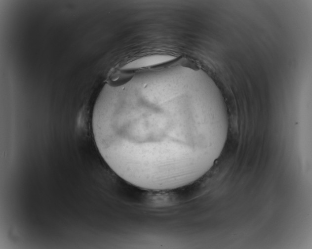 X0000088910181200707061352