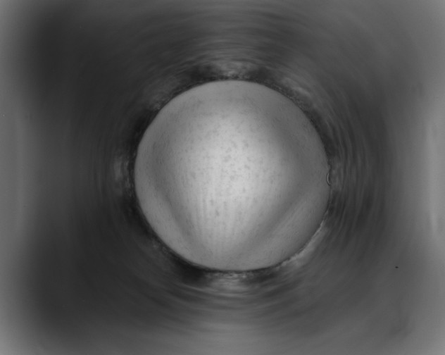 X0000088910182200707061352