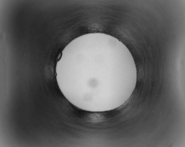 X0000088910183200707061352