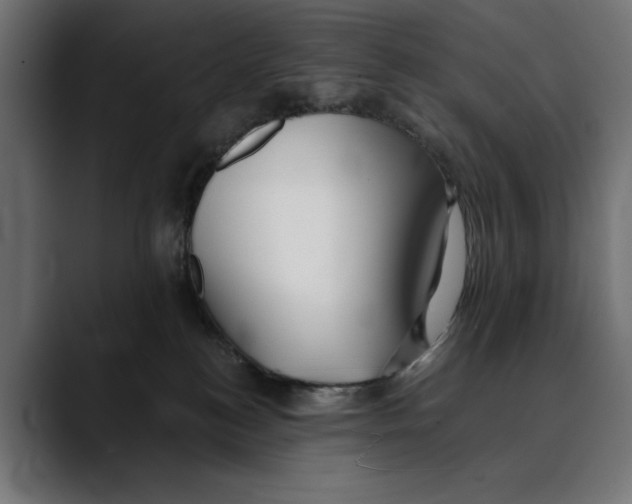 X0000088910184200707061352