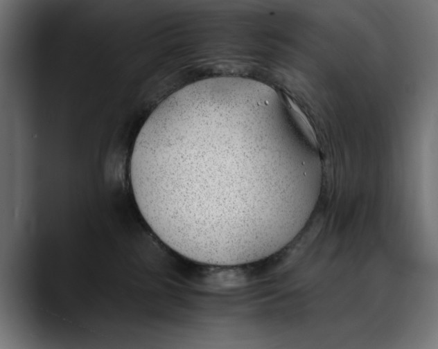 X0000088910185200707061352