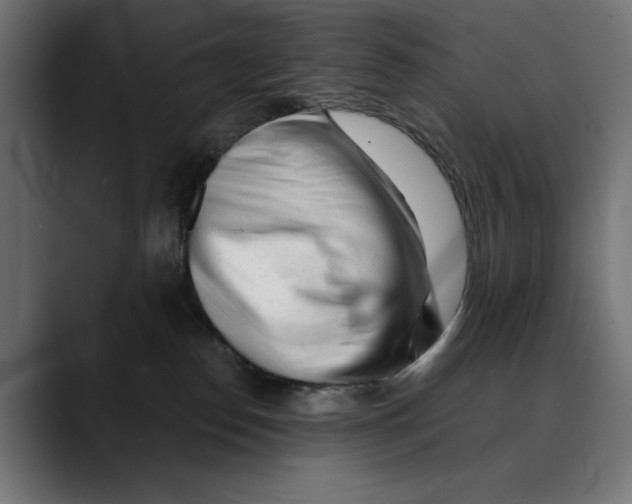 X0000088910186200707061352