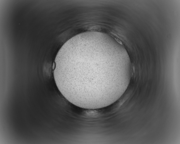 X0000088910189200707061352