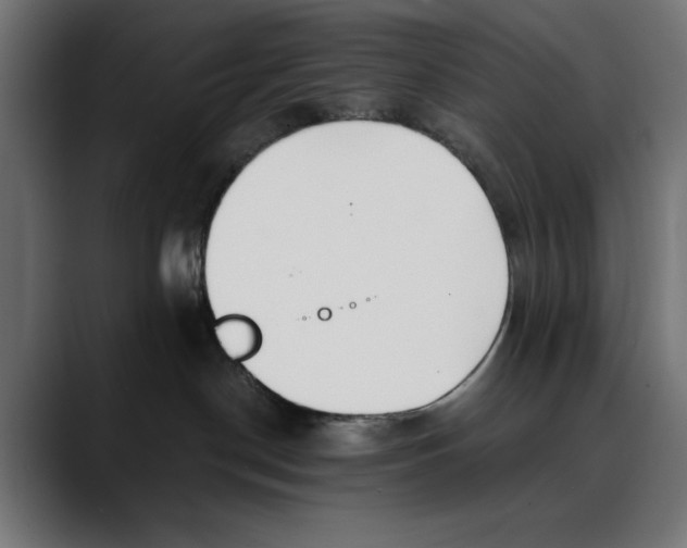 X0000088910190200707061352