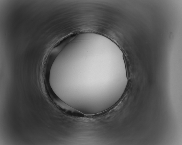 X0000088910193200707061351