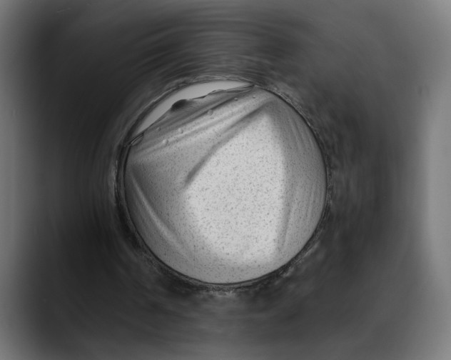 X0000088910194200707061351