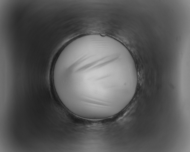 X0000088910196200707061351