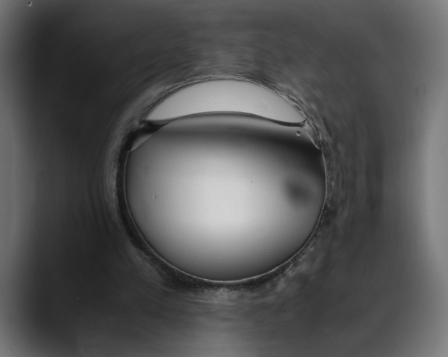 X0000088910197200707061351