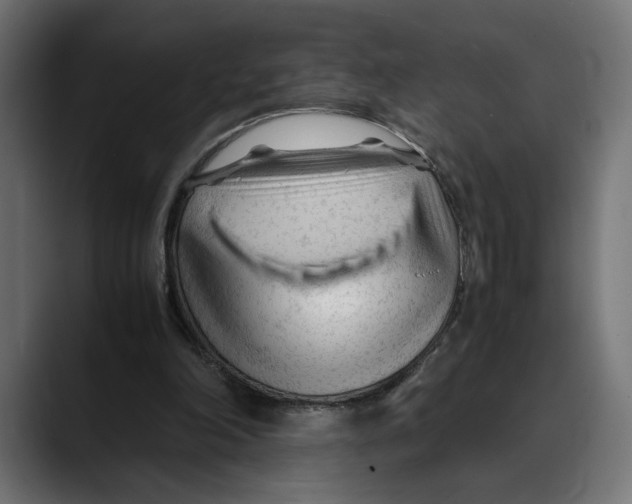 X0000088910198200707061351