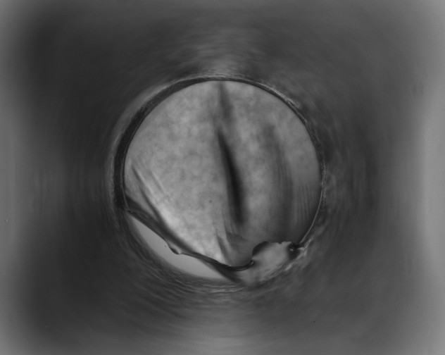 X0000088910200200707061351