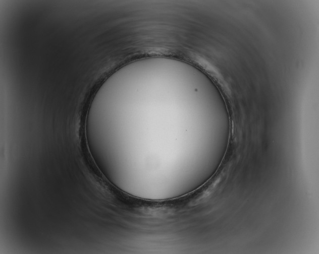 X0000088910201200707061351