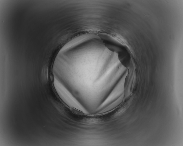 X0000088910205200707061351