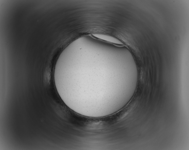 X0000088910206200707061351