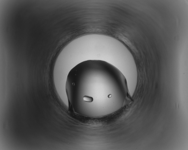 X0000088910207200707061351