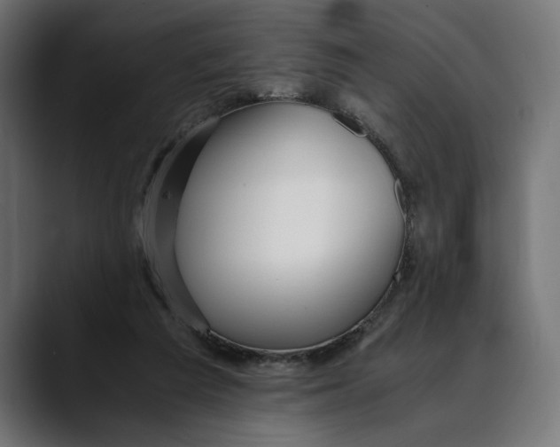 X0000088910209200707061351