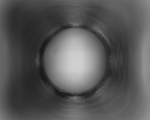 X0000088910212200707061351