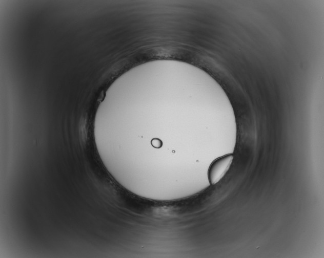 X0000088910216200707061351