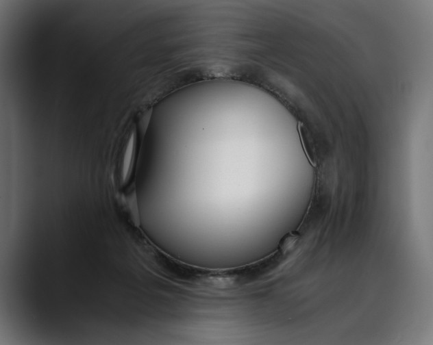 X0000088910217200707061351