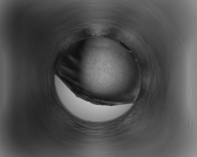 X0000088910219200707061351