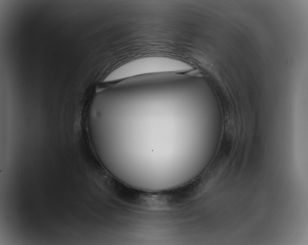 X0000088910221200707061351