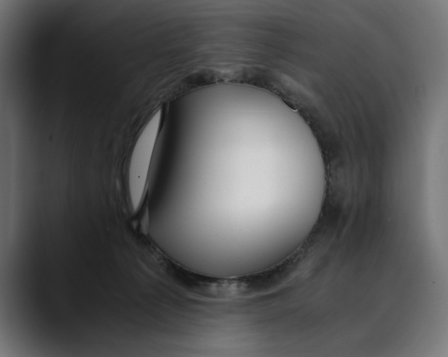 X0000088910225200707061351