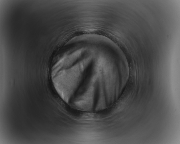 X0000088910227200707061351