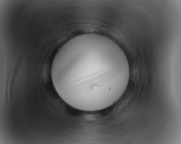 X0000088910228200707061351