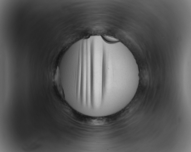 X0000088910232200707061351