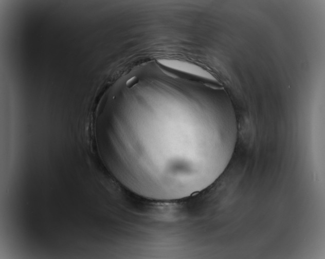 X0000088910233200707061351