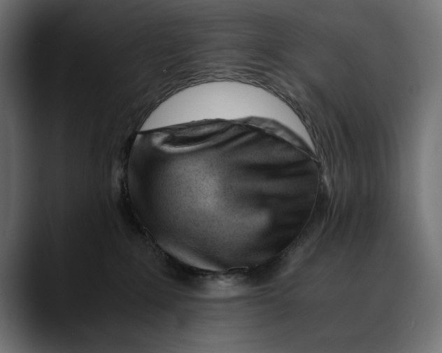 X0000088910235200707061351