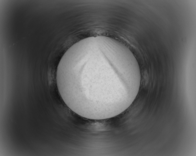 X0000088910236200707061351