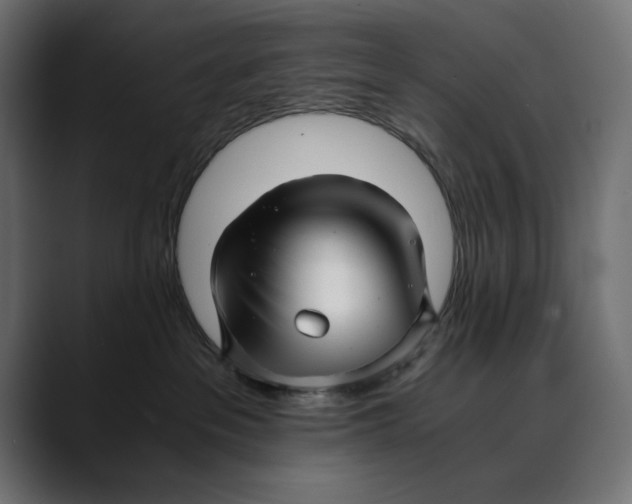 X0000088910237200707061351