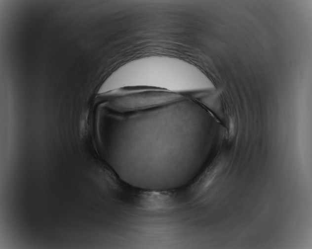 X0000088910239200707061351