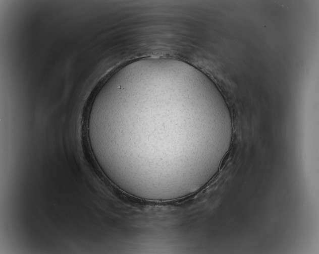 X0000088910242200707061350