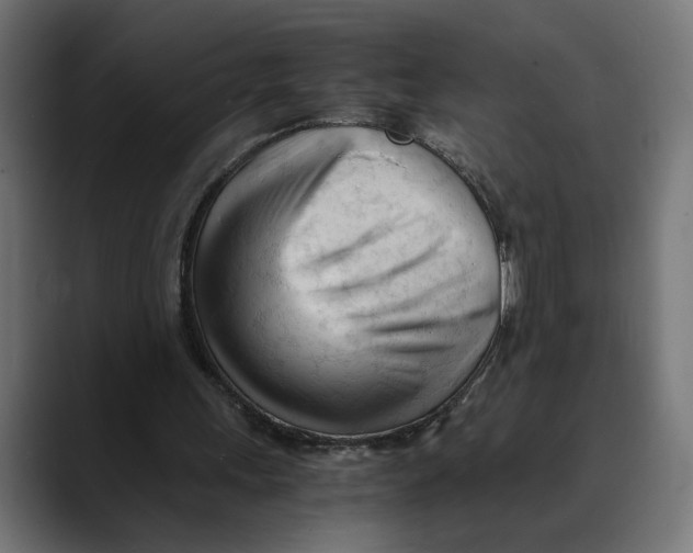 X0000088910243200707061350